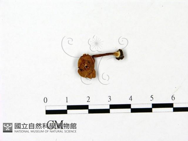 登錄號:F0023060藏品圖，第1張