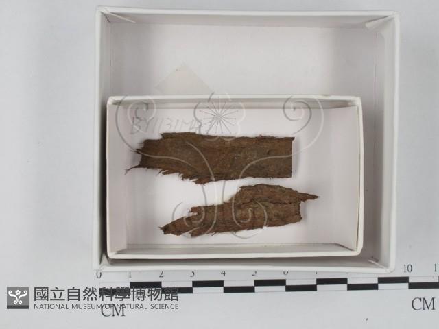 登錄號:F0018360藏品圖，第1張