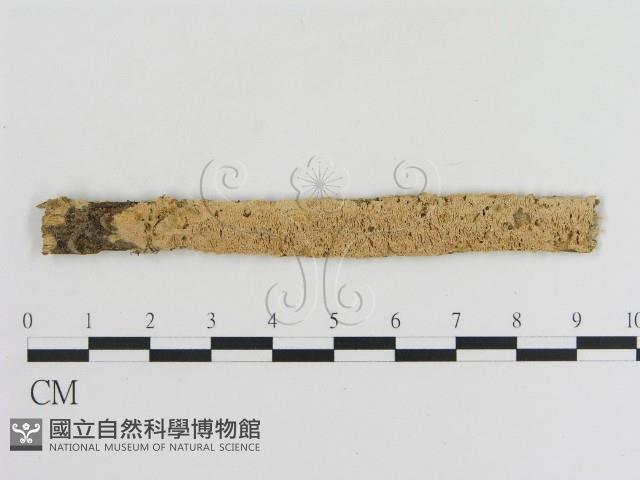 登錄號:F0010360藏品圖，第1張