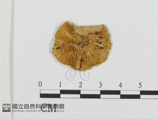 登錄號:F0016360藏品圖，第1張