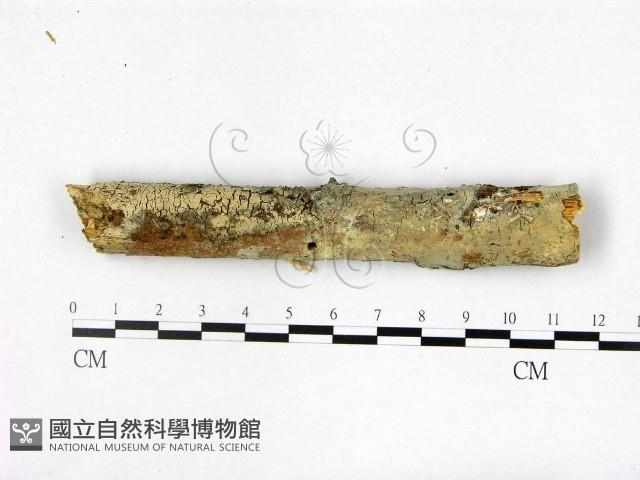 登錄號:F0022360藏品圖，第3張