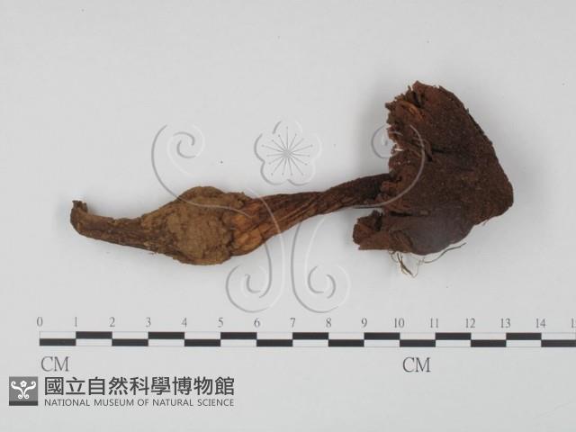 登錄號:F0002360藏品圖，第1張