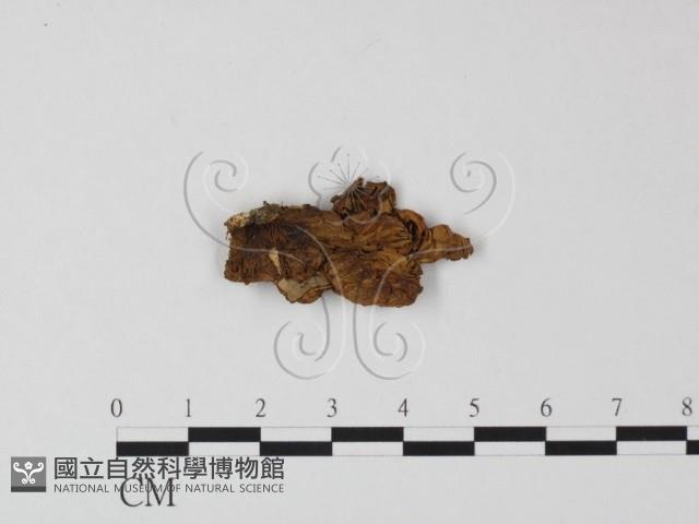 登錄號:F0007360藏品圖，第1張