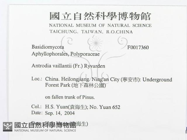 登錄號:F0017360藏品圖，第3張