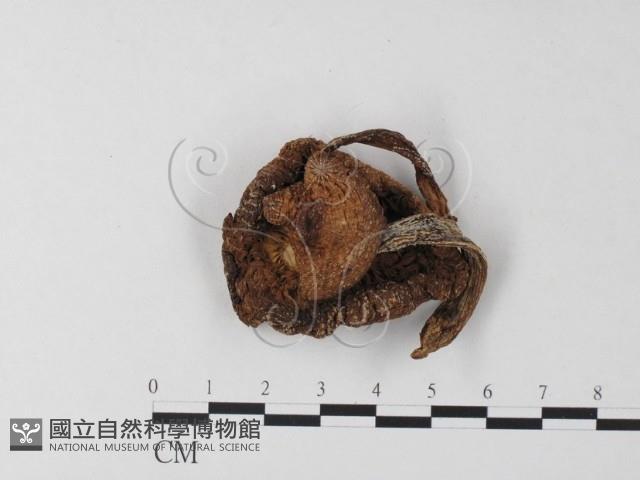 登錄號:F0023360藏品圖，第1張