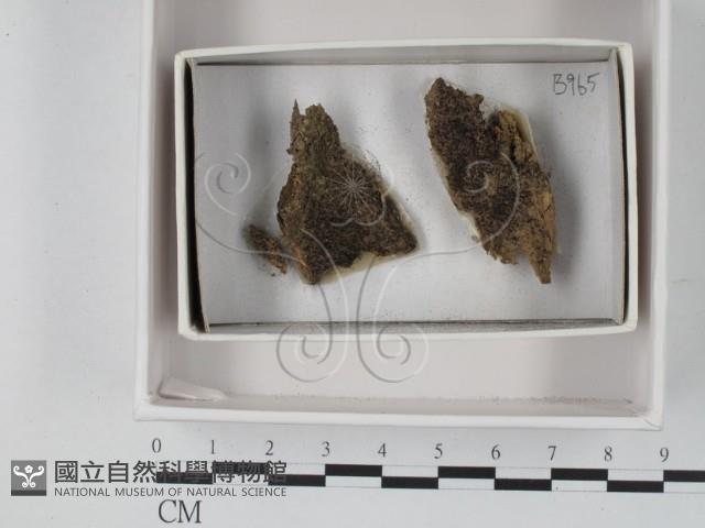登錄號:F0021220藏品圖，第1張