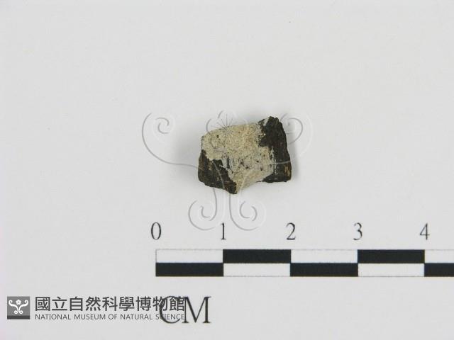 登錄號:F0012220藏品圖，第1張