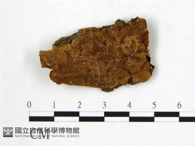 登錄號:F0007220藏品圖，第1張