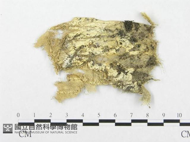 登錄號:F0003220藏品圖，第1張
