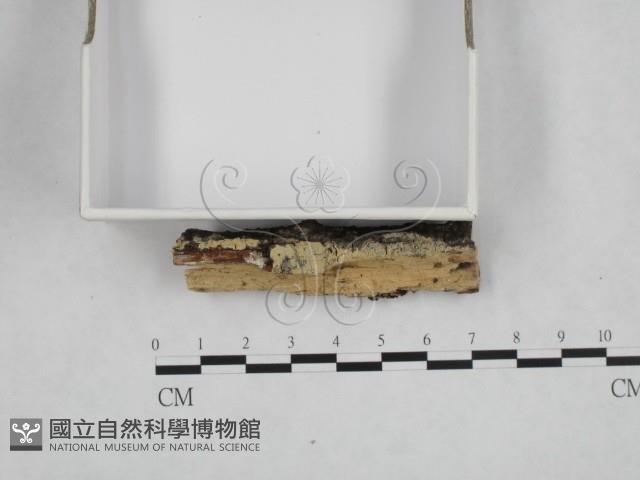 Accession Number:F0024820 Collection Image, Figure 1, Total 3 Figures