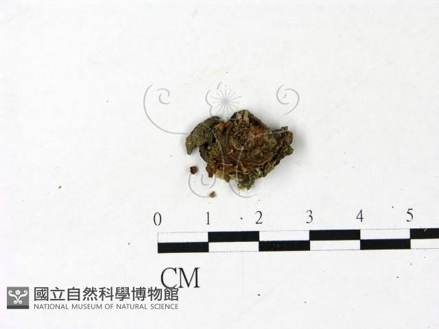 登錄號:F0022820藏品圖，第1張