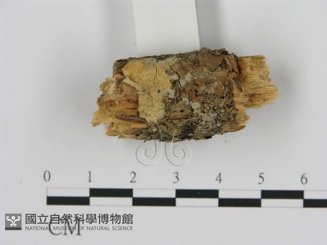 登錄號:F0002820藏品圖，第1張