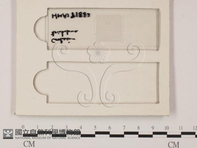 登錄號:F0009820藏品圖，第1張