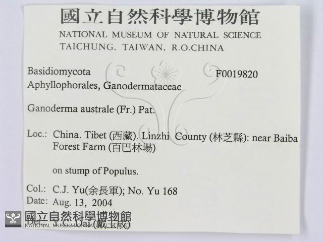 登錄號:F0019820藏品圖，第3張