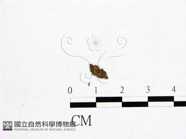 登錄號:F0001920藏品圖，第1張