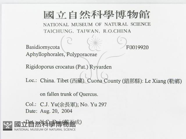 登錄號:F0019920藏品圖，第3張