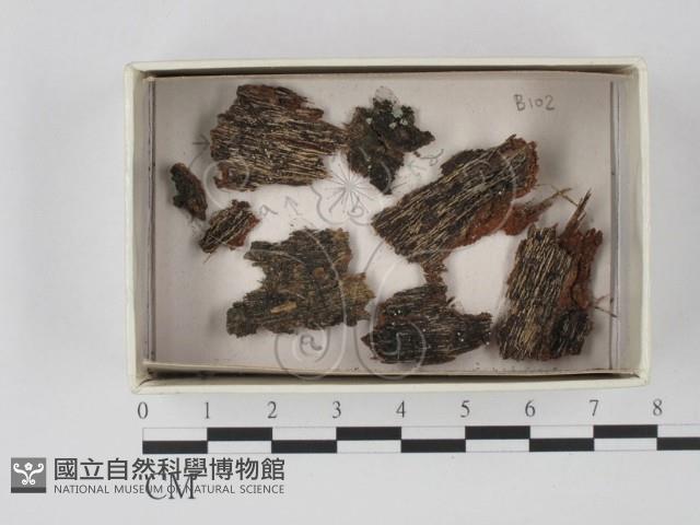 登錄號:F0020620藏品圖，第1張