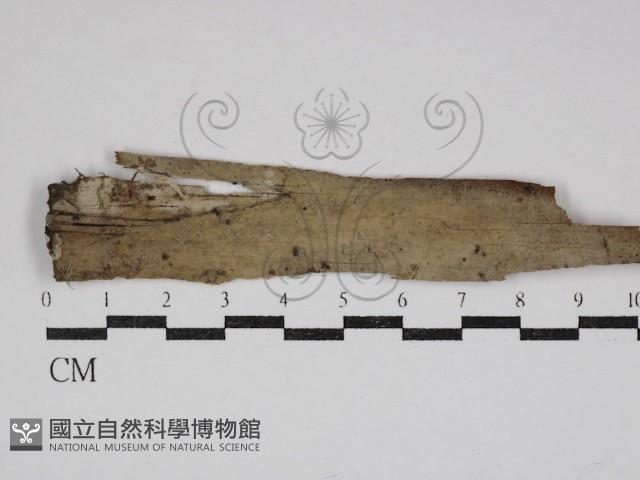 登錄號:F0030620藏品圖，第1張