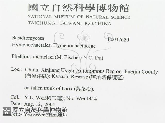 登錄號:F0017620藏品圖，第3張