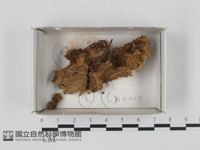 登錄號:F0018420藏品圖，第1張