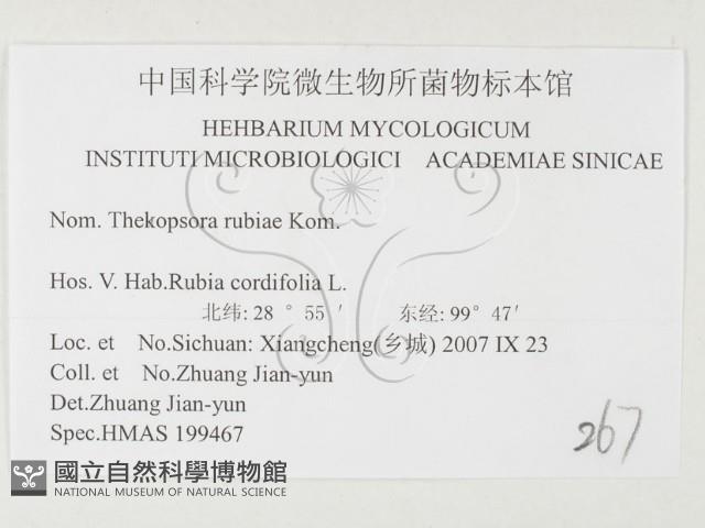 登錄號:F0026420藏品圖，第3張