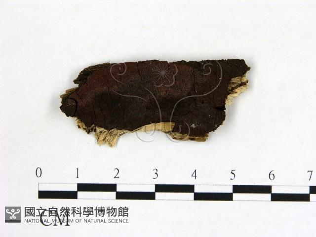 登錄號:F0011420藏品圖，第1張