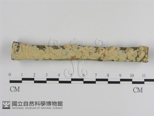 登錄號:F0015420藏品圖，第1張