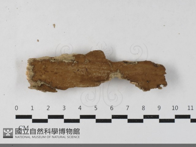 登錄號:F0033420藏品圖，第1張