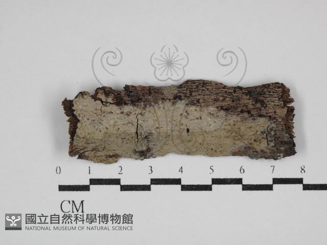 登錄號:F0030720藏品圖，第1張