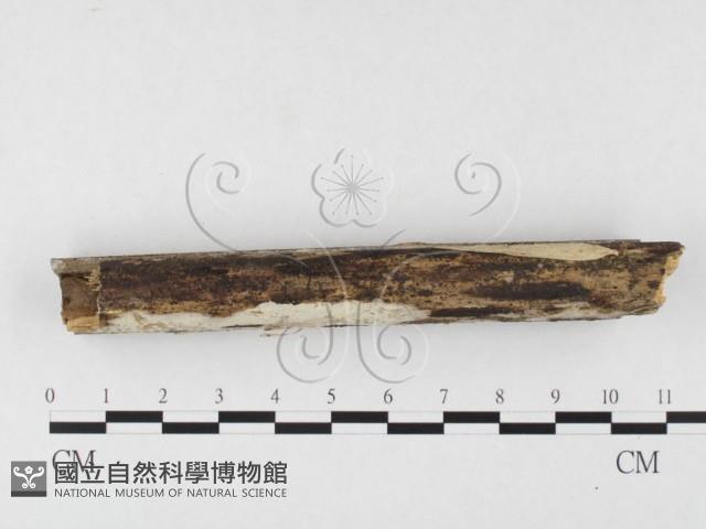 登錄號:F0026720藏品圖，第1張