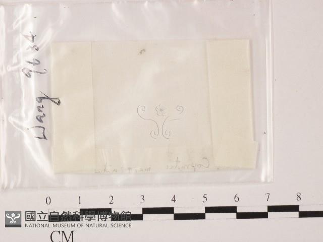 登錄號:F0004720藏品圖，第1張