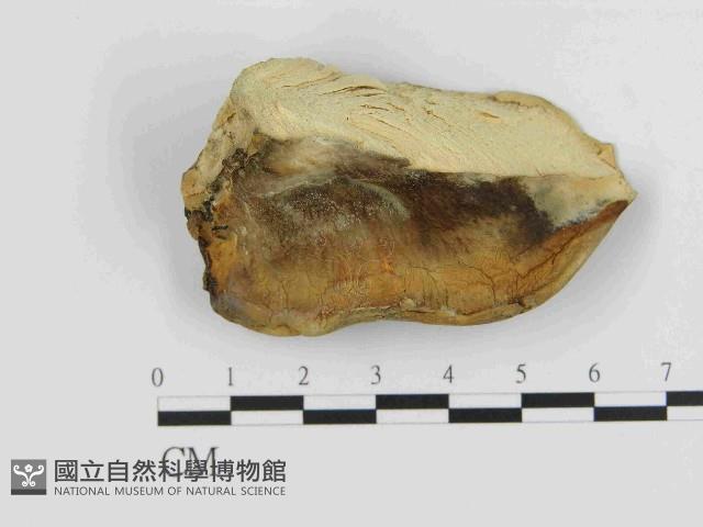 登錄號:F0014720藏品圖，第1張