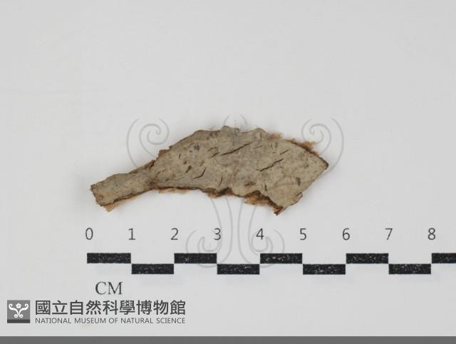 登錄號:F0034720藏品圖，第1張