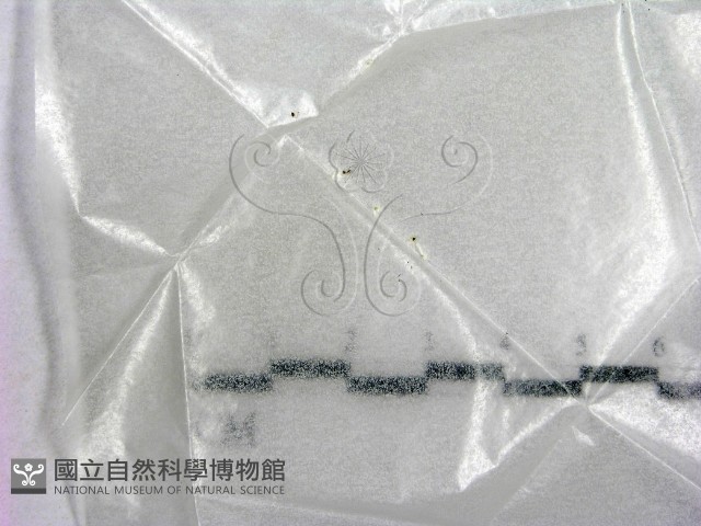 登錄號:F0005720藏品圖，第1張