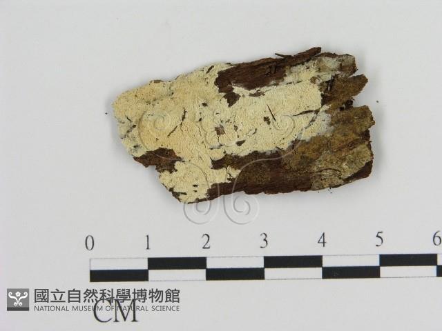 登錄號:F0015720藏品圖，第1張