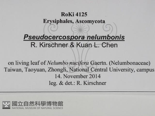 登錄號:F0031020藏品圖，第3張