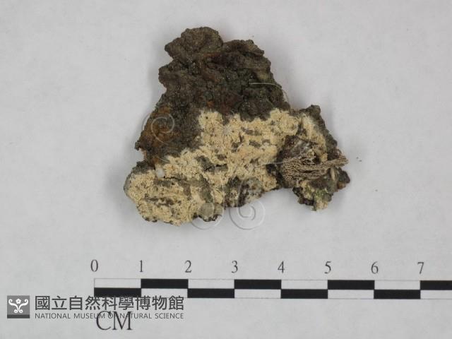 登錄號:F0024020藏品圖，第1張