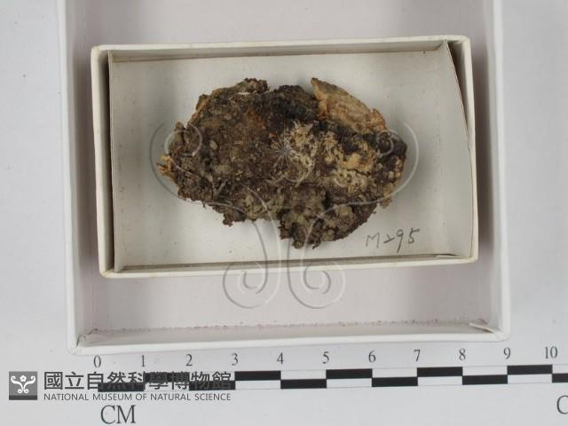登錄號:F0018320藏品圖，第1張