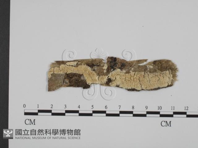 登錄號:F0007320藏品圖，第1張