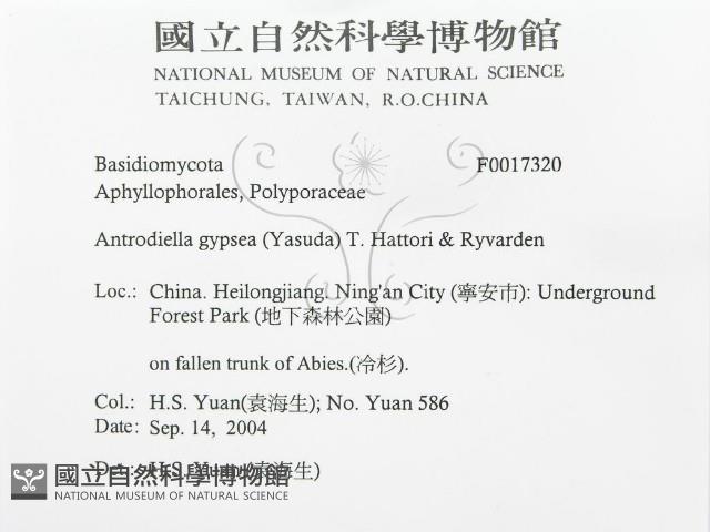 登錄號:F0017320藏品圖，第3張