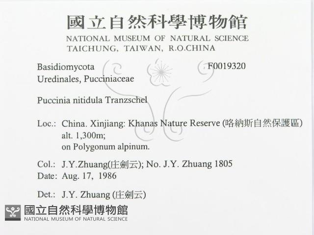 登錄號:F0019320藏品圖，第3張