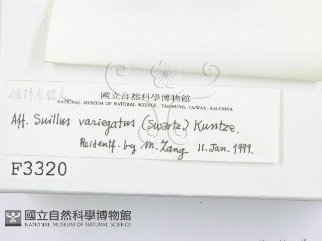 登錄號:F0003320藏品圖，第3張