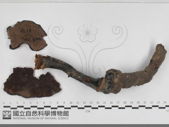 登錄號:F0033320藏品圖，第1張