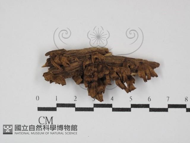 登錄號:F0030200藏品圖，第1張