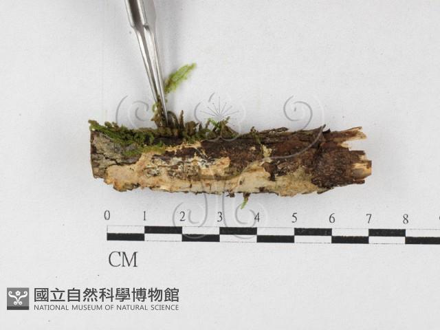 登錄號:F0027200藏品圖，第1張