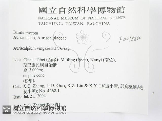 登錄號:F0018800藏品圖，第3張