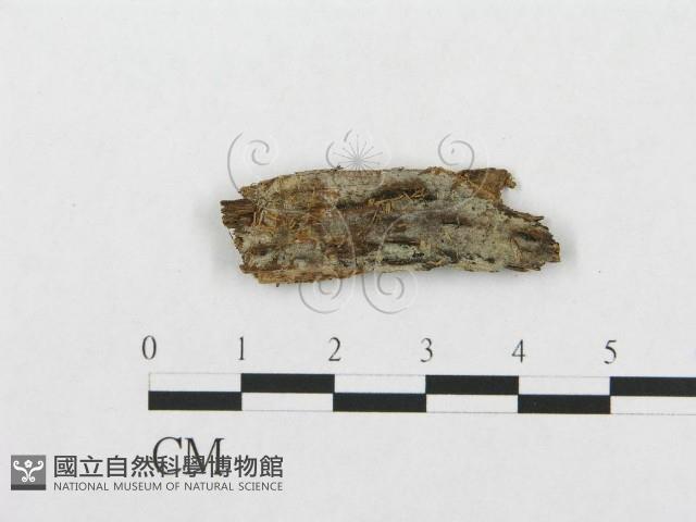 登錄號:F0016800藏品圖，第1張