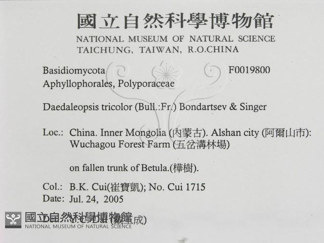 登錄號:F0019800藏品圖，第3張