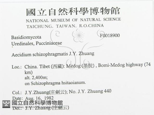 登錄號:F0018900藏品圖，第3張