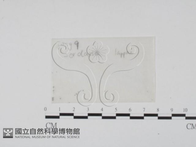 登錄號:F0016900藏品圖，第1張